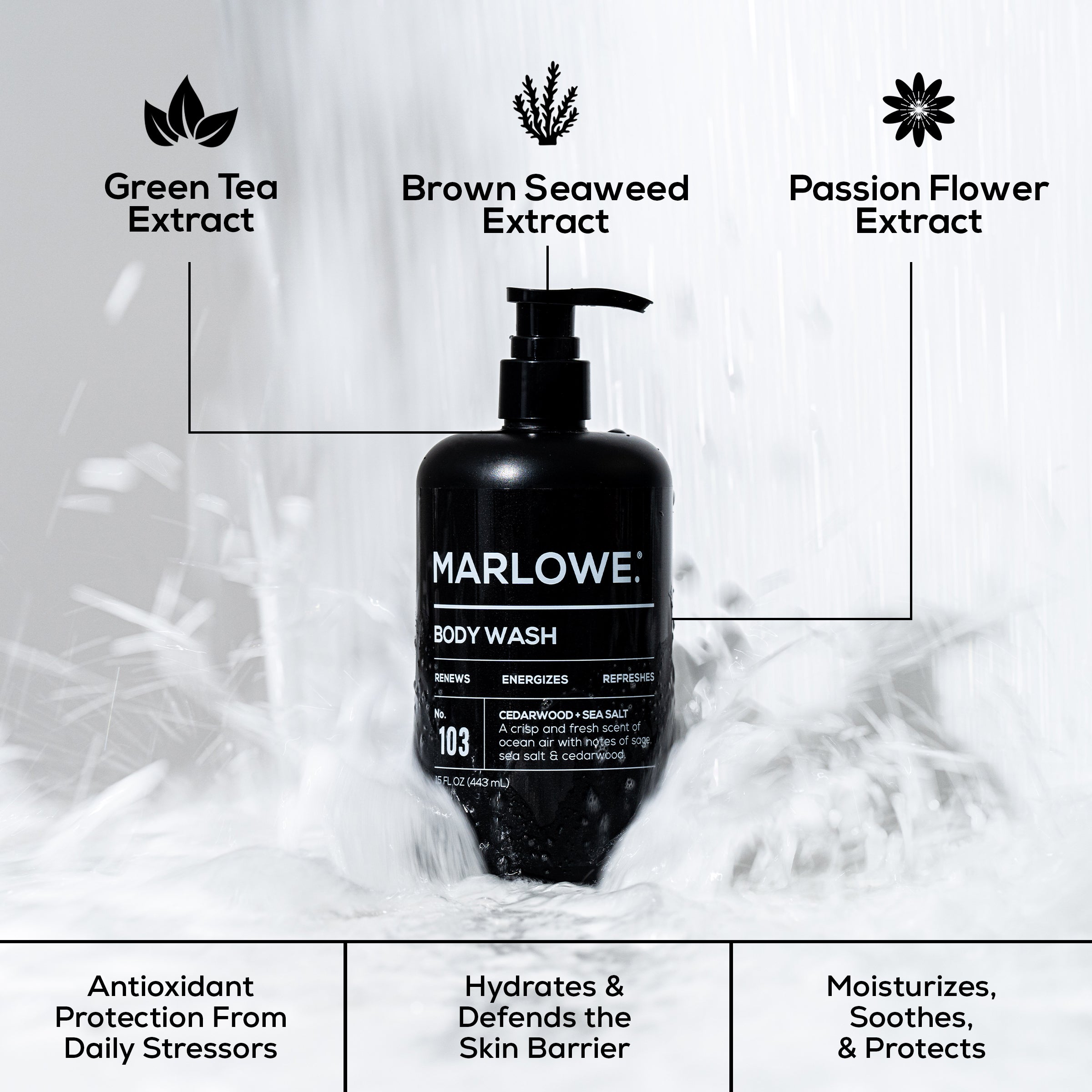 Body Wash ?? Cedarwood + Sea Salt - Image 3