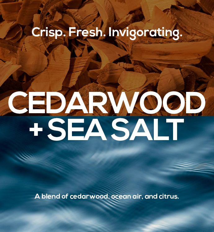 Complete Skincare Set ? Cedarwood + Sea Salt - Image 4